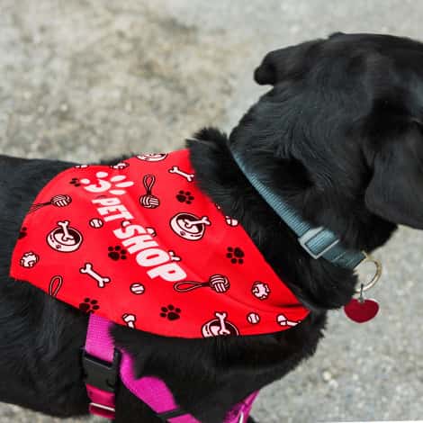 trends-collection-pet-bandana-3-sizes-small-medium-large-sublimated